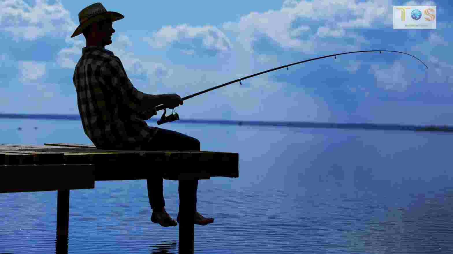 Make Money From Your Hobbies