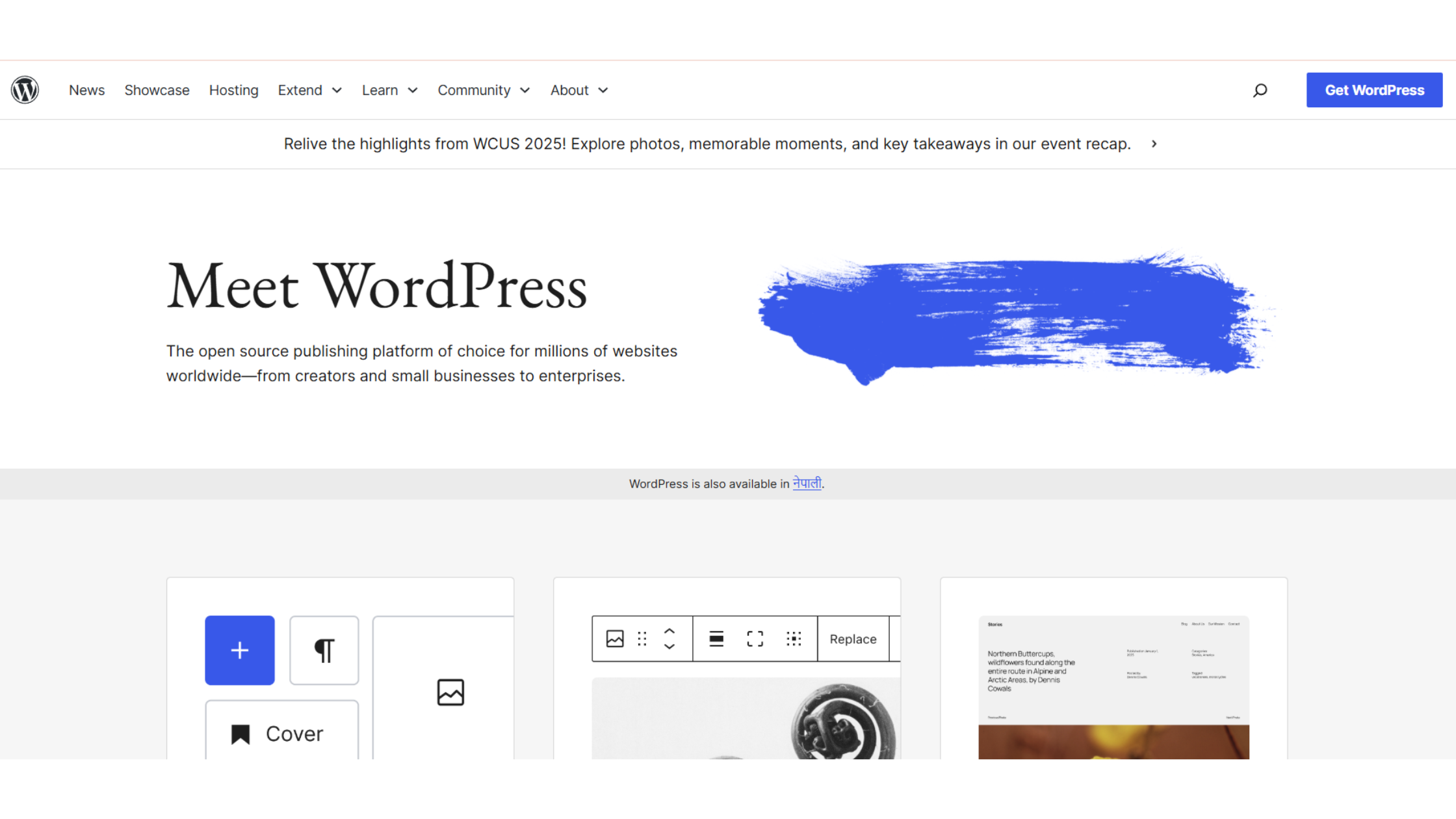 Best Blogging Platforms
